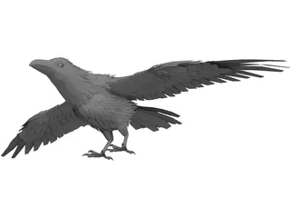 Raven 3D Model preview