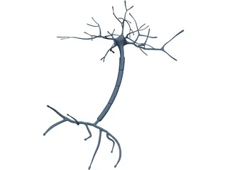 Neuron 3D Model preview