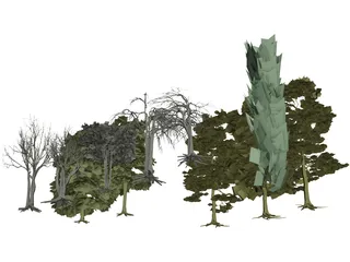 Tree Collection 3D Model preview