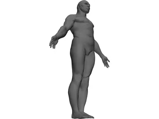 Male Human Figure 3D Model preview