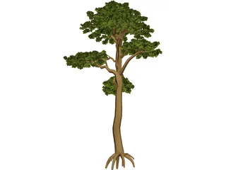 Pine 3D Model preview