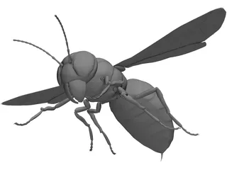 Hornet 3D Model preview