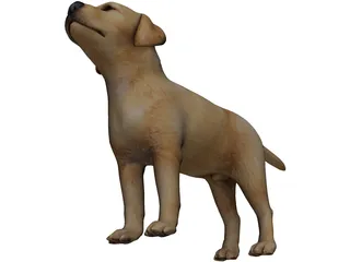 Dog 3D Model preview