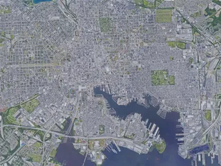 Baltimore City, MD, USA (2019) 3D Model preview