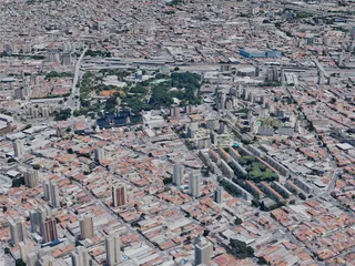 Sao Paulo City, Brazil (2019) 3D Model preview