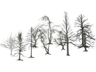 Dead Trees 3D Model preview