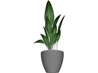 Ficus 3D Model preview