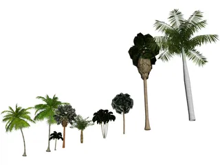 Tree Collection 3D Model preview