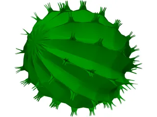 Barrel Cactus 3D Model preview