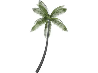 Palm 3D Model preview