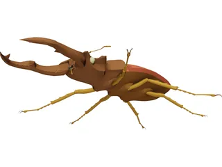Beetle 3D Model preview