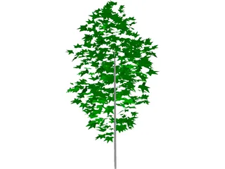 Tree 3D Model preview