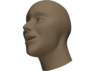 Human Head 3D Model preview