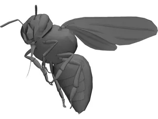 Bee 3D Model preview