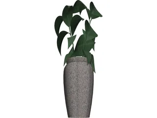 Ficus 3D Model preview