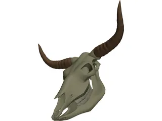 Cow Scull 3D Model preview