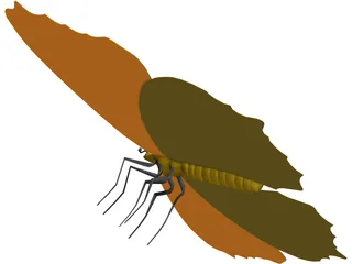 Poke Eye Butterfly 3D Model preview