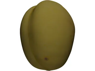 Apricot Fruit 3D Model preview