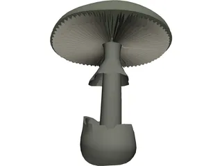 Amanita Phalloides: Death Cap Mushroom 3D Model preview
