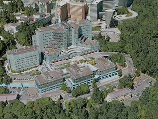 Portland City, OR, USA (2020) 3D Model preview