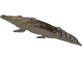 Crocodile 3D Model preview