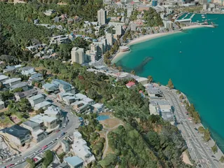 Wellington City, New Zealand (2020) 3D Model preview