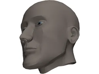 Head Human 3D Model preview