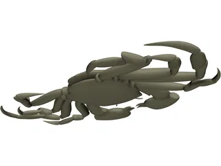 Chinese Mitten Crab 3D Model preview