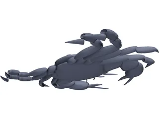 Harris Mud Crab 3D Model preview