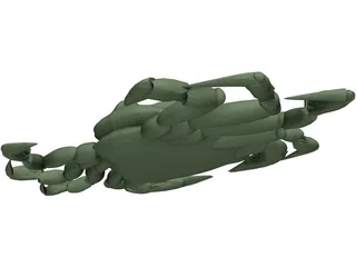 European Green Crab 3D Model preview