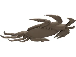 Asian Shore Crab 3D Model preview