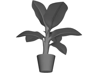 Banana Plant 3D Model preview