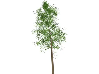 Tree 3D Model preview