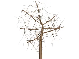 Tree 3D Model preview