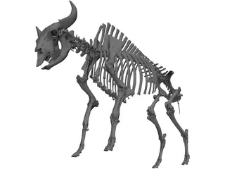 Bull Skeleton 3D Model preview