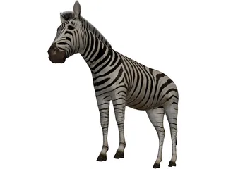 Zebra 3D Model preview