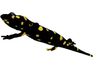 Salamandra 3D Model preview