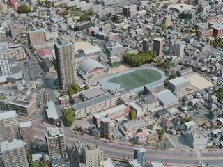 Kumamoto City, Japan (2021) 3D Model preview