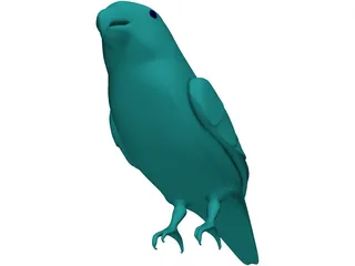 Parakeet 3D Model preview