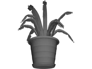 Aloe Plant in a Pot 3D Model preview
