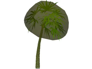 Palm 3D Model preview