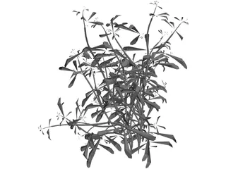 Flower 3D Model preview