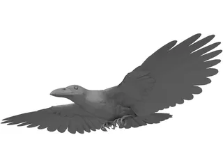 Raven 3D Model preview