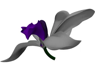 Orchid 3D Model preview