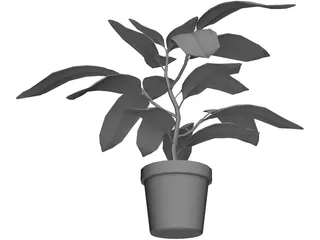 Houseplants 3D Model preview