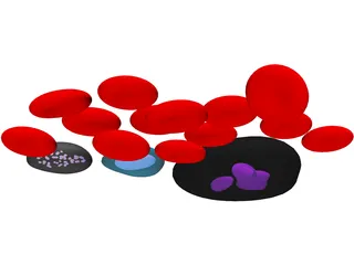 Blood Cells 3D Model preview