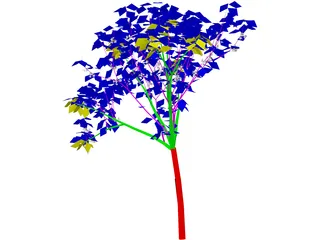 Apricot Tree 3D Model preview