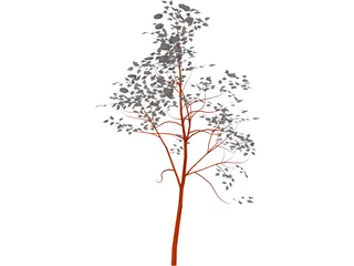 American Mountain Ash 3D Model preview