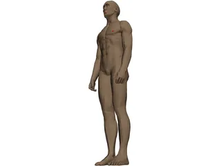 Man 3D Model preview