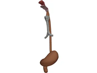 Digestive Tract and Respiratory 3D Model preview